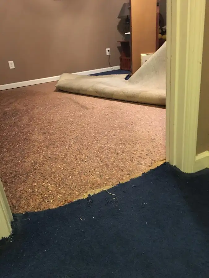 Carpet pad removal revealing water damage during Water Mitigation Services in Round Lake