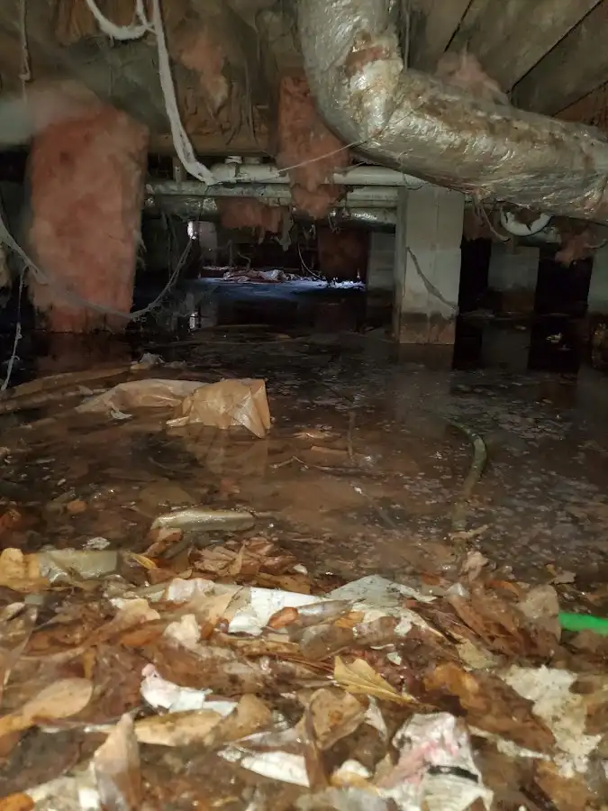 Crawl space flood assessment for Leak Detection & Repair in Round Lake