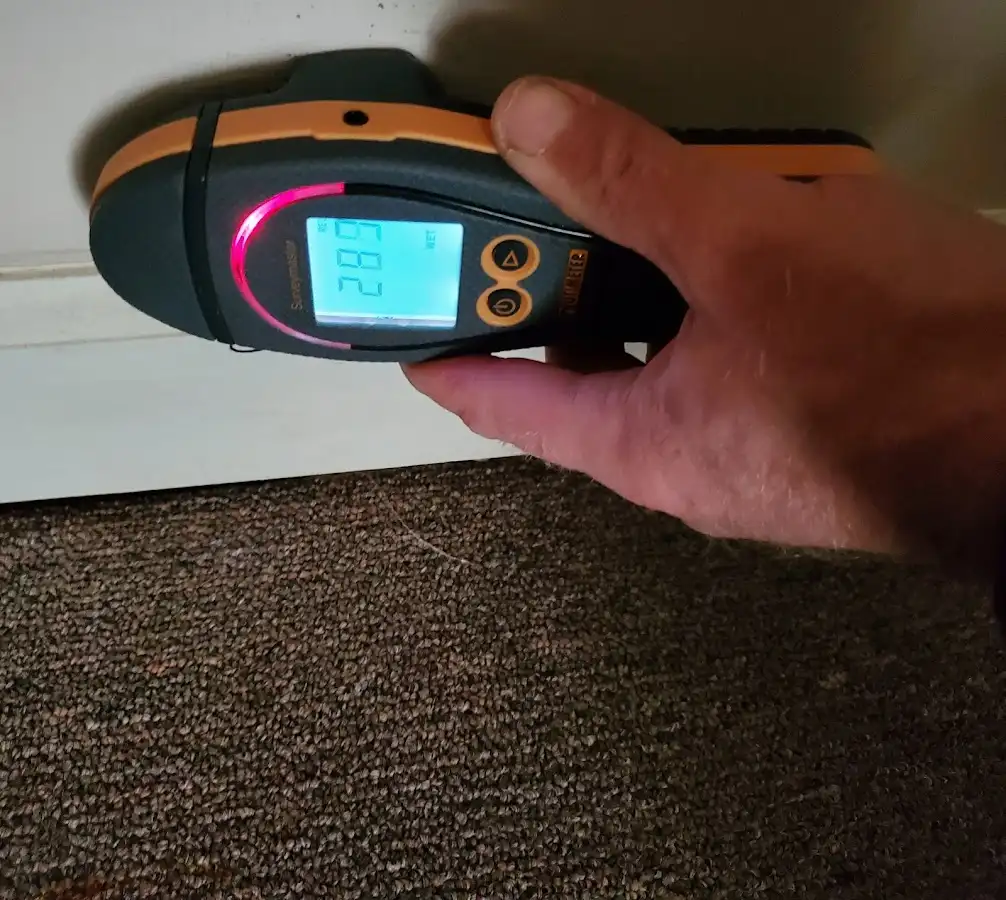 Moisture detection at baseboard during Sewage Cleanup & Sanitation in Round Lake